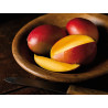 Home Fragrance Diffuser with Mango and Papaya Scent