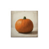 Modern Wall Art Print with Pumpkin Motif, Framed Canvas, Cream...