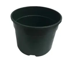 Set de macetas biodegradables para trasplante de plantas Hecho en...