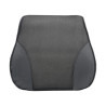Comfy Lumbar Support Pillow Model PLW2