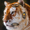1080P Full HD 4K 26000 Lumen Proiezione Android Smart