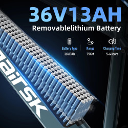 Aairsk Europe 250W 36V 13Ah Lithium Battery Electric Bike