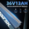 Aairsk Europe 250W 36V 13Ah Lithium Battery Electric Bike