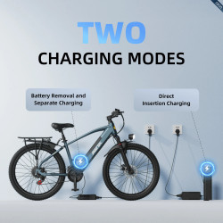 Bicicleta Eléctrica Aairsk Europe 250W 36V 13Ah con Batería de Litio