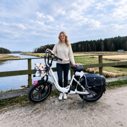 Bici Elettrica Pieghevole in Lega di Alluminio 20" con Pneumatici...