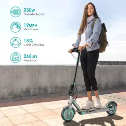 D8PRO Foldable Electric Scooter, 250W Motor, 10.5Ah Battery, LCD...