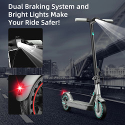 Elektrisches Faltscooter D8PRO, 250W Motor, 10,5Ah Batterie...