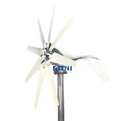 Horizontal Wind Turbine 800W 1000W 12V 24V 48V NewEnergy Free...