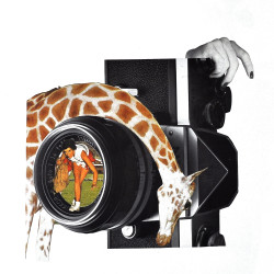 Sonderangebot: A4-Kunstdruck collage Sarkastisch auf Wandpapier