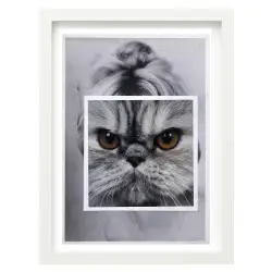 A4 Print on White Paper with Cat Face, Mid-Century Modern Style...