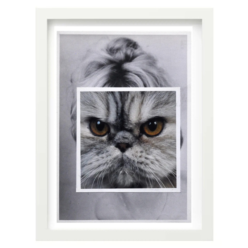 A4 Print on White Paper with Cat Face, Mid-Century Modern Style...