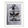 Imprima su Carta A4 con Volto di Gatto, Collage Artistico in Stile...