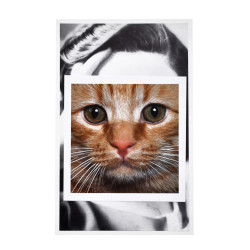 Stampa su Carta Bianca A4 con Volto di Gatto, Collage Artistico in...