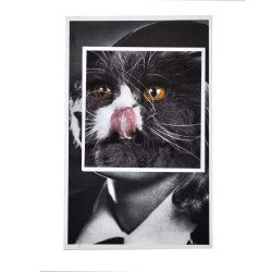 A4 Print on White Paper with Cat Face, Mid-Century Modern Style...