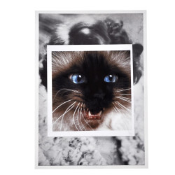 Impression sur papier blanc A4 avec visage de chat, collage...