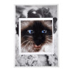 A4 Print on White Paper with Cat Face, Mid-Century Modern Style...