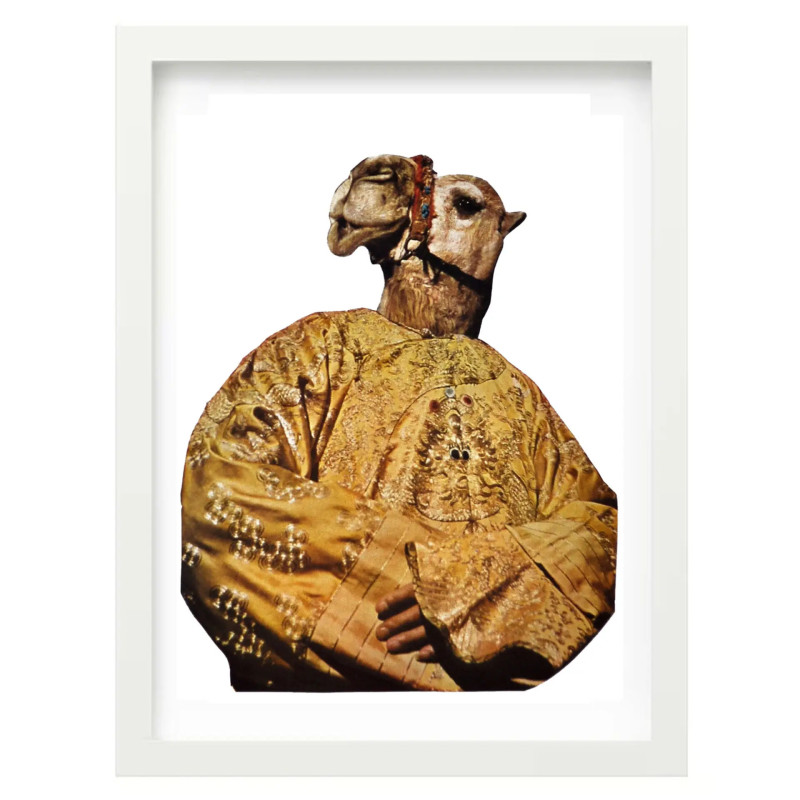Prezzo Speciale Stampe Collage Moderne di Animali A4 21x29,7cm -...