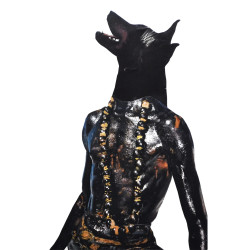 Special Price Modern Animal Collage Print A4 21x29,7cm - Sarcastic...