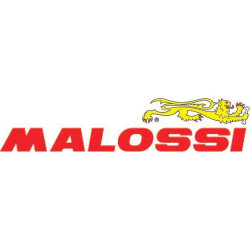 Malossi 6719315B HTQ Z-15/55 Secondary Gears for Primavera 3V Iget...