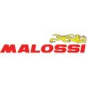 Malossi 6719315B Engranajes Secundarios HTQ Z 15/55 para Primavera...