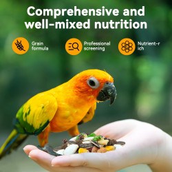 Nobleza Premium Bird Food for Parakeets - 500g Healthy & Tasty