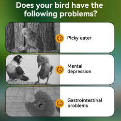 Nobleza Premium Bird Food for Parakeets - 500g Healthy & Tasty