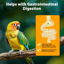 Nobleza Premium Bird Food for Parakeets - 500g Healthy & Tasty