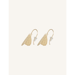 CUCOCUCA YXQ E262 Gold Plated Moth-Inspired Stud Earrings