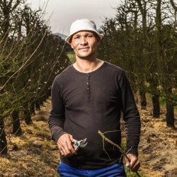 FELCO Model 4 Pruning Scissors: 4mm Blade, Red Handle