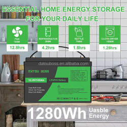 Batteria LiFePO4 Lithium 12V 100AH