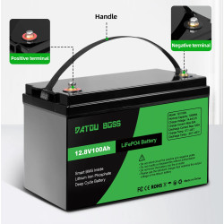 Batteria LiFePO4 Lithium 12V 100AH