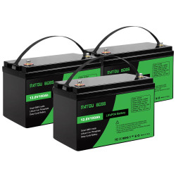 Batteria LiFePO4 Lithium 12V 100AH
