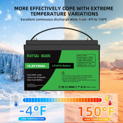Batteria LiFePO4 Lithium 12V 100AH