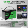 Batteria LiFePO4 Lithium 12V 100AH