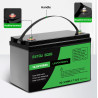 Batteria LiFePO4 Lithium 12V 100AH