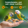 Nobleza Premium Bird Food - Complete Nutrition for Lovebirds