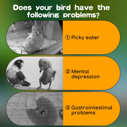 Nobleza Premium Bird Food - Complete Nutrition for Lovebirds