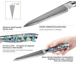 High-End Damascus Steel All-Purpose Knife with Abalone Shell Handle