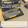 Tastiera Meccanica Ajazz AK820 Layout Tedesco Ergonomica…