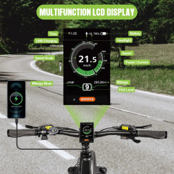 Bafang DPC18-Display für Zentralmotor-Umbaukit für Elektrofahrräder…