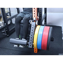 Rack Accessory for Leg Curl and Leg Extension - Versatile Gym…