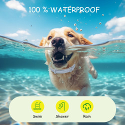 Nobleza Natural Antiparasitic Collar for Dogs - Essential Oils