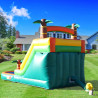 Scivolo d'Acqua Gonfiabile Commerciale in PVC 21x9x12FT per Esterni…