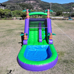 Descenso de agua inflable comercial de PVC para adultos y niños