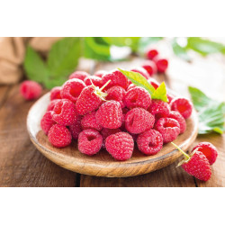 Diffusore di Aromi per la Casa Raspberry di Marca Tedesca